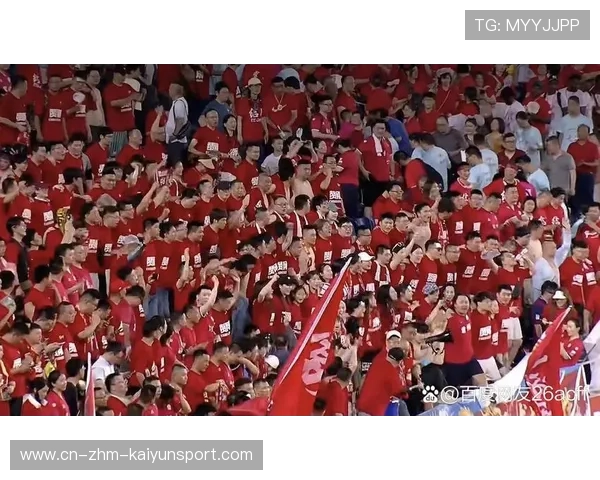球迷支持热情高涨，现场氛围极佳！，球迷激动